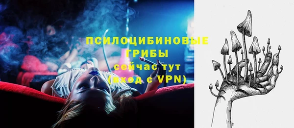 молекула духа Арсеньев
