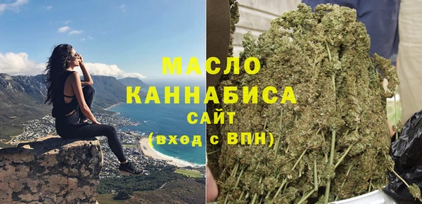 молекула духа Арсеньев