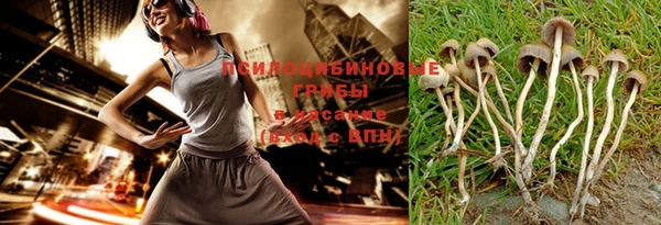 молекула духа Арсеньев
