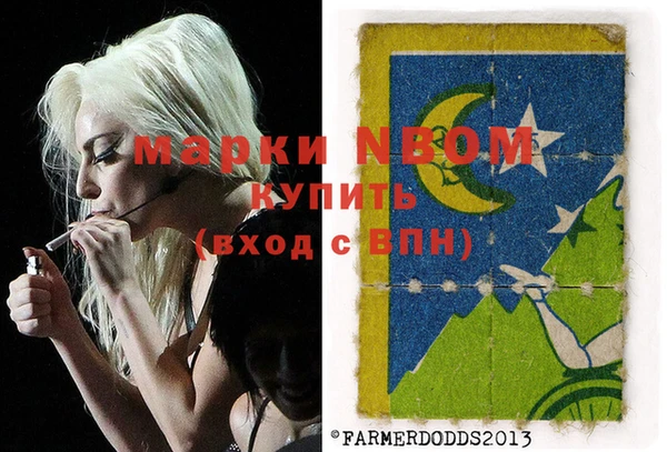 молекула духа Арсеньев