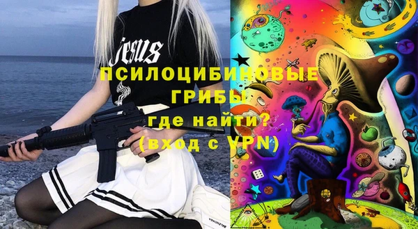 молекула духа Арсеньев